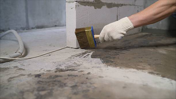 Top rated local Foundation Crack Repair specialists in Leonidas, MI